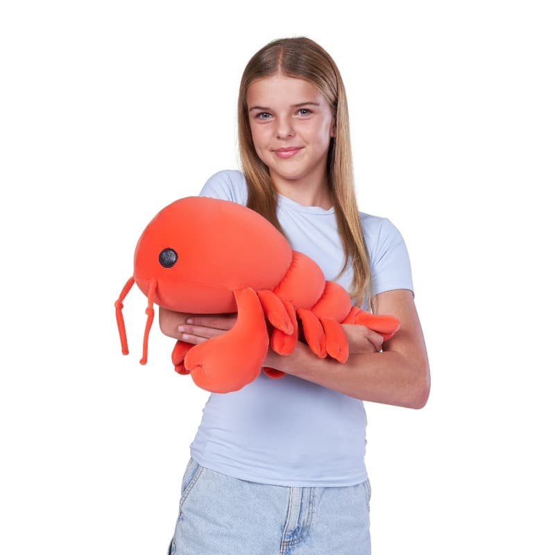Hug A Lumps Medium 1.5KG_Lenny the Lobster thumbnail 5